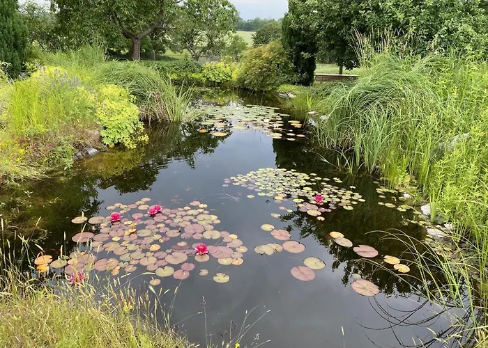 Сasa de vacaciones Reethaus - Vilm Vilmnitz